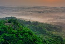 vue+iview兼容IE9以上的解决办法