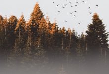 centos6安装docker和docker-compose